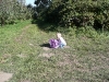 LiliBee checks the apple haul.
