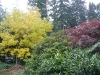 Our yard is pretty this time of year.