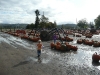 Muddy pumpkin patch.