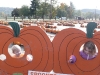 Pumpkin girls.