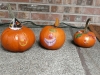 The finished pumpkins!