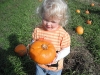 LiliBee picked a pumpkin!