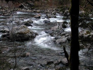 olallie01.jpg