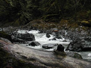 Rapids