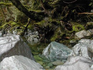 Calm Water
