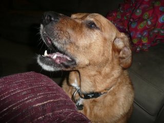 Lucy