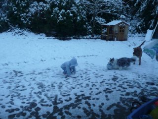 More snow!
