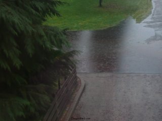 The street floods.