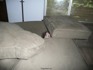 CareBear peeks.