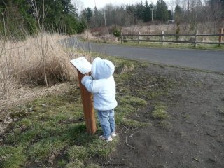 CareBear checks the map.