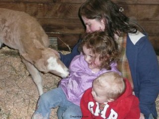 Mini horse nibbles.