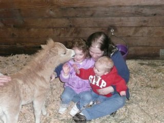 Mini horse kisses.