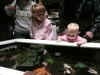 Cousin H and LiliBee check out the aquarium\'s touch tank.